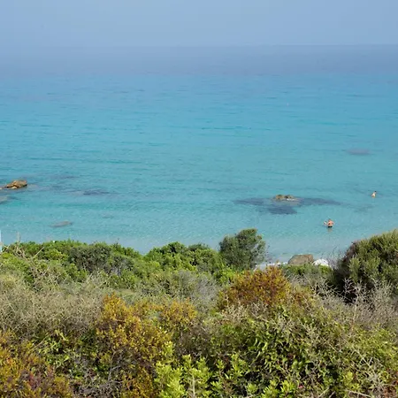 Muxi Tortoli